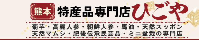 特産品専門店ひごや